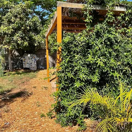 بيت خشبي Markethome Plataneras