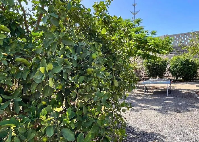 بيت خشبي Markethome Plataneras *