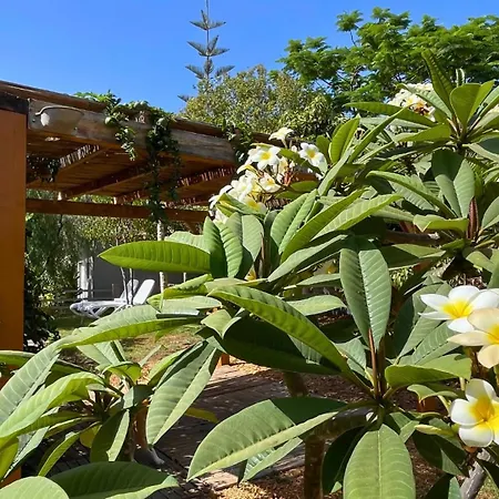 Lodge Markethome Plataneras Chío