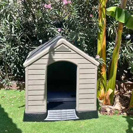 Markethome Plataneras Lodge