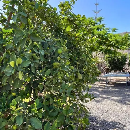 Lodge Markethome Plataneras *