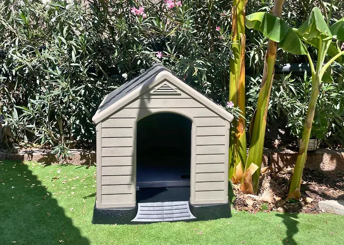 Markethome Plataneras Lodge