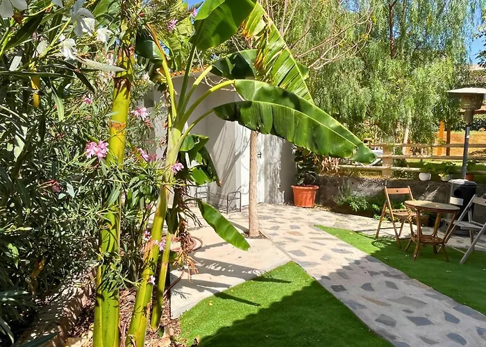 Markethome Plataneras *